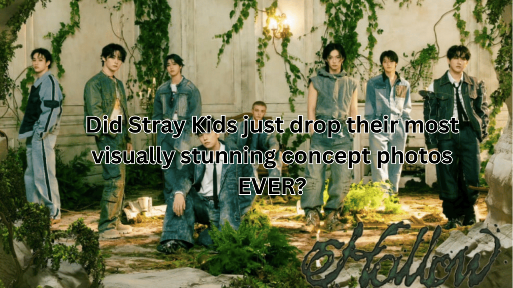 This contains an image of Stray Kids