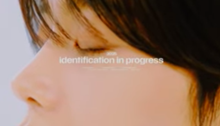 This contains an image of 2025 identification in progress