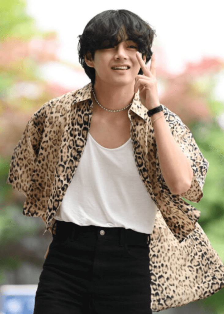 A picture of  v