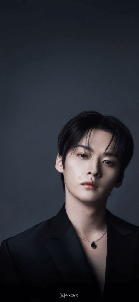 This contains an image of Stray Kids' Lee Know