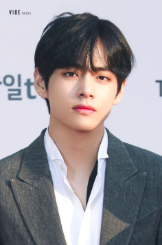 This contains an image of BTS V